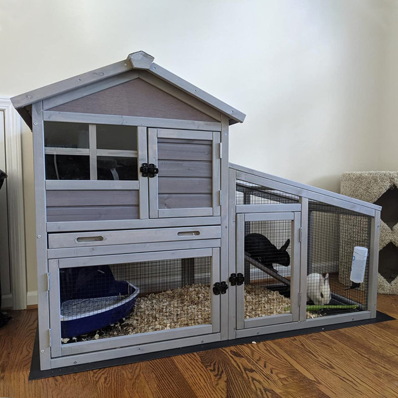 Rabbit hutch for sale near me best sale